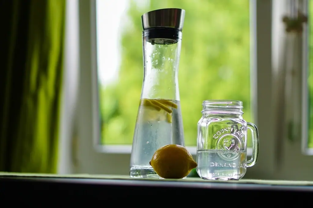 A carafe of water with lemon by a window