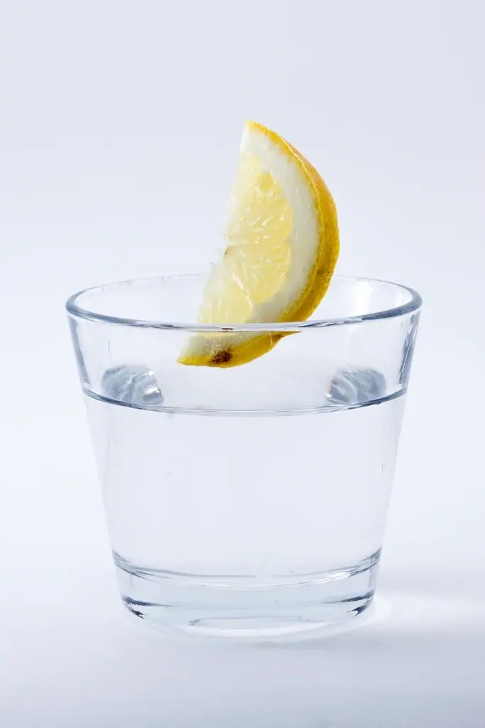 Glas Wasser mit einer Zitronenscheibe
